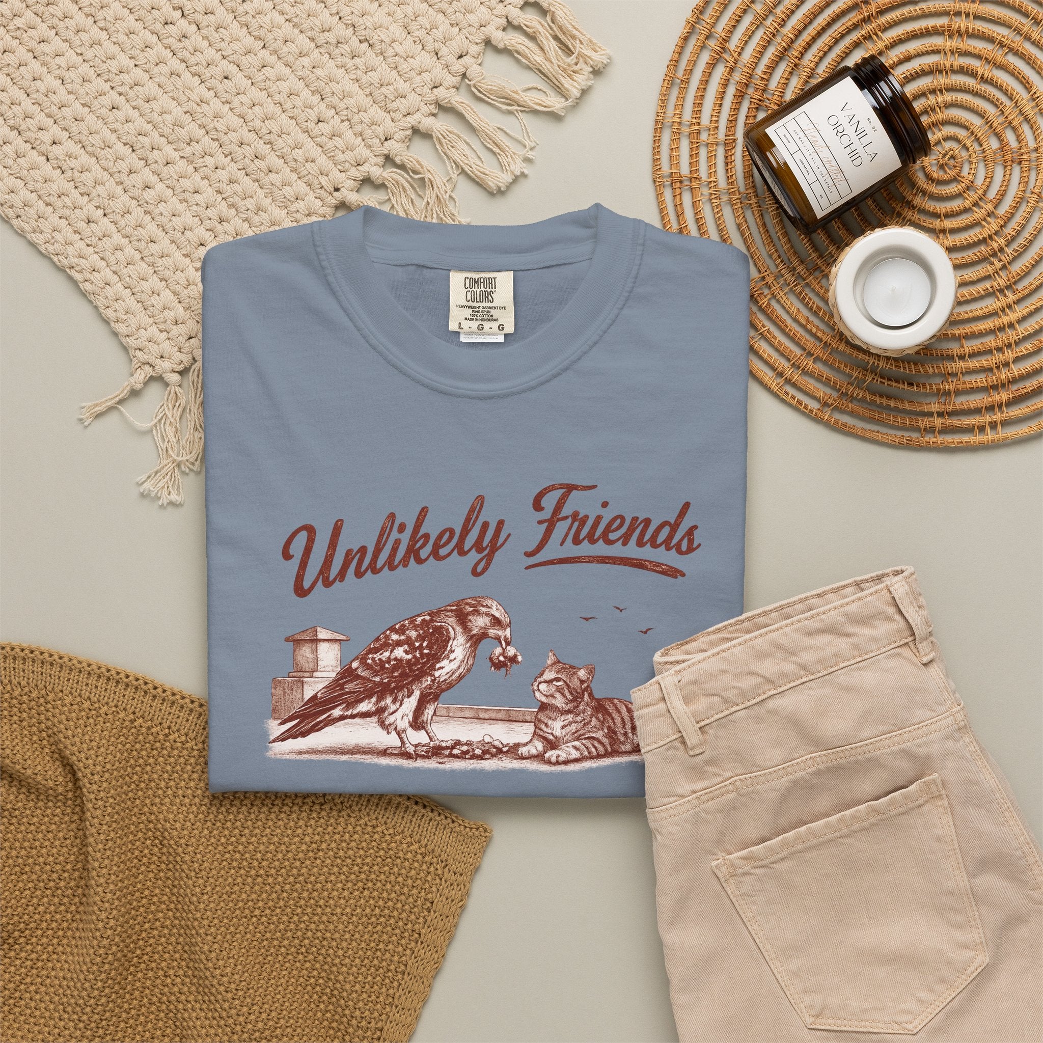 Vintage Hawk & Cat Unlikely Friends T‑Shirt