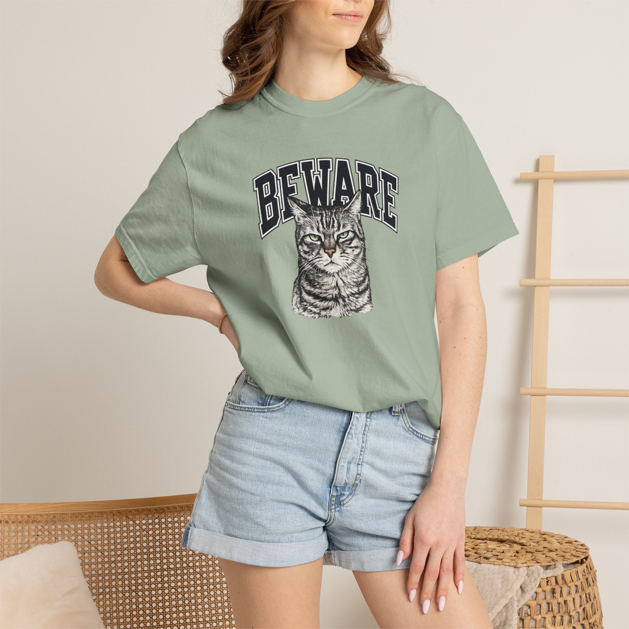 BEWARE Cat T-Shirt – Vintage Grumpy Cat Graphic Tee
