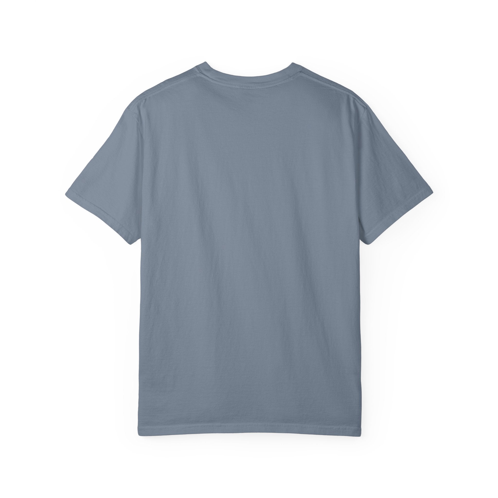 Vintage Hawk & Cat Unlikely Friends T‑Shirt